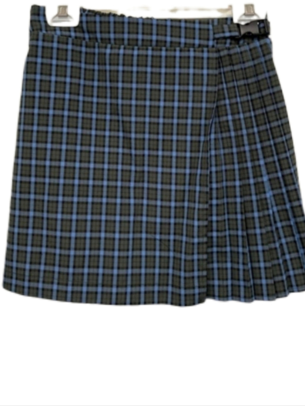 << Wild Fable Pleated Plaid Mini Skirt in Blue and Black